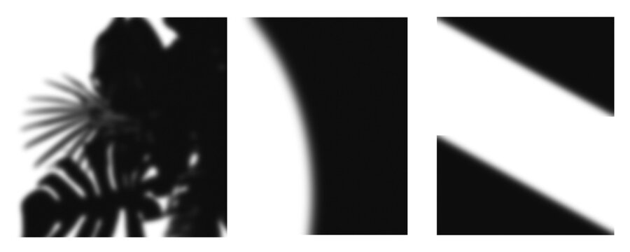 Silhouette of a plant with spiky leaves and geometric shapes isolated on transparent background, creating a modern abstract design