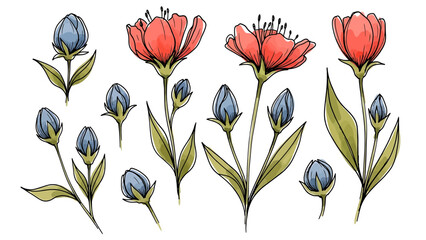 Watercolor hand-drawn illustration of red flowers and blue buds
