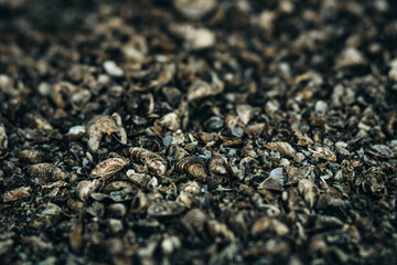 carpet texture background