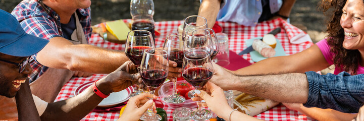 multiracial happy friends dining and having fun toasting and drinking with red wine on picnic table in party outdoors park countryside – horizontal web banner size for header