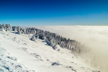 Winter panorama of Śnieżnik Mountain in the Sudetes with temperature inversion and snowy forest