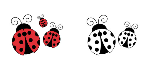 Colorful and monochrome ladybug illustrations in varying sizes, featuring classic red with black spots and elegant black and white designs