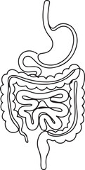 Continuous one line drawing of Human digestion. Single line drawing illustration of Human Digestive. one line Icon drawing