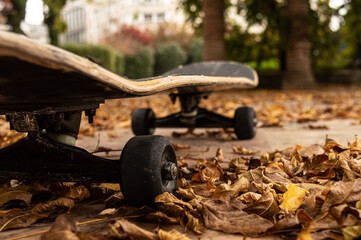 skateboard on an autumn day