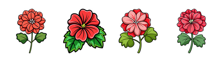 Four vibrant handdrawn red and pink flowers with green leaves, botanical illustrations