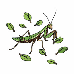 Praying Mantis Surrounded by Leaves Illustration.