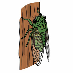 Green Cicada Insect Climbing on a Tree Trunk Illustration.