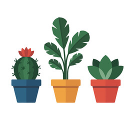 Obraz premium Three potted plants, a cactus, a tall leafy plant, and a succulent are displayed against a white background.