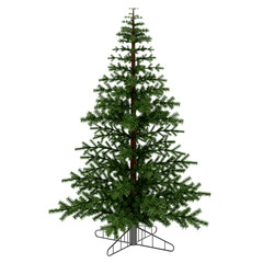 3d render christmas tree decoration pine with transparent background