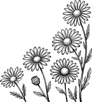 Fototapeta Abstract floral vector pattern design with seamless spring daisy illustration and pink, orange, yellow flowers for background decoration