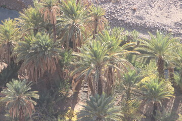 Fint near Ouarzazate, Morocco