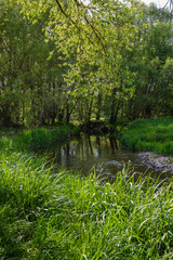 A Serene Riverbank, Gently Flowing and Beautifully Surrounded by Lush Greenery and a Cloudy Sky