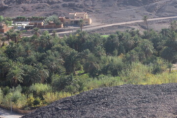 Fint near Ouarzazate, Morocco