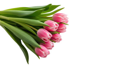 Vibrant pink tulips with green stems beside a pristine blank white greeting card, on a bright white studio surface with soft natural light and bokeh, symbolizing heartfelt sentiments