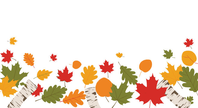 Autumn background with colorful falling leaves and birch tree logs creating a border on a clean white background for text.