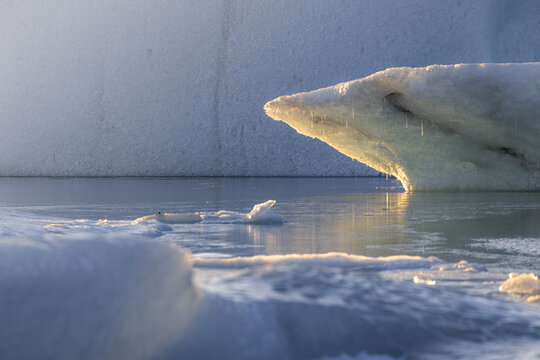 View of icy giants drift serenely on a tranquil lake, the melting ice reflecting sunlight in a cold, ethereal dance, Jokulsarlon, Sveitarfelagid Hornafjordur, Iceland.