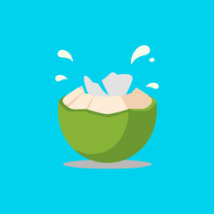 Cracked Young Coconut with Splash icon logo flat vector design
