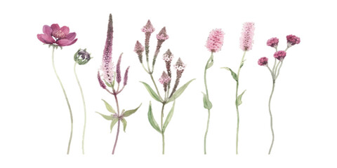 Naklejka premium Watercolor illustration of various pink and purple wildflowers and plants