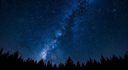 Deep Blue Christmas Night Sky with Stars and Pine Silhouettes. dark blue night sky background filled with sparkling stars and a subtle milky way. At the very bottom edge, a black silhouette