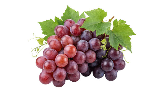 Luscious Red Grapes: A cluster of plump, juicy red grapes, accompanied by vibrant green leaves and delicate vines, perfectly embodies the essence of freshness and natural sweetness. - Powered by Adobe