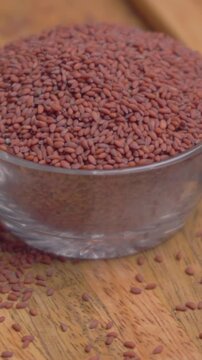 Vertical Video of Halim Seeds