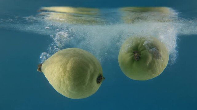 guava fruit falling into the water