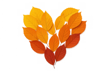 Autumn leaves forming heart shape on transparent background, symbolizing love, nature, and fall season