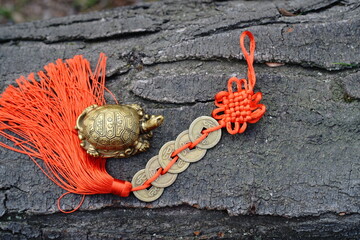 Chinese coins with red threads and a turtle figurine.