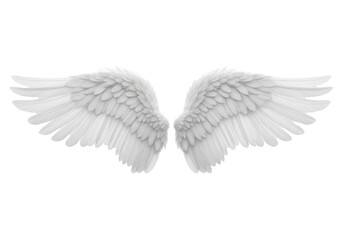 Obraz premium A pair of transparent, fluffy angel wings, intricately detailed with visible individual feathers, gracefully unfurled against a transparent studio background with copy space, soft bright lighting.