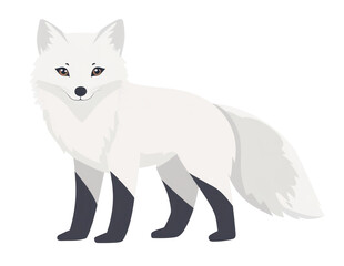 Naklejka premium PNG Illustration of Arctic Fox fox wildlife animal.