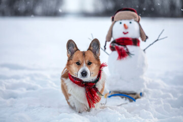 cute dog pulling snowman in sleigh in winter christmas garden