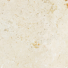 Light Beige Travertine Surface Detail