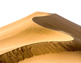 A sunlit, curved dune against black background. Sandy textures and gradients create depth