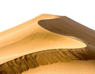 A sunlit, curved dune against black background. Sandy textures and gradients create depth