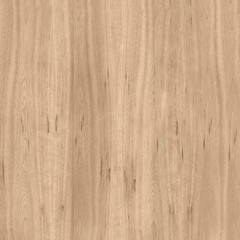 Natural OakTexture Surface Detail