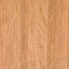 Naklejka premium Quarter-Sawn Sapele Surface Detail