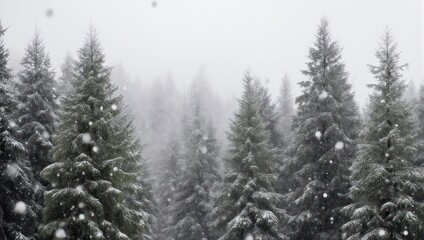 Winter scene of snow-covered evergreen trees, with falling flakes and a hazy background