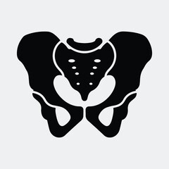 Silhouette human pelvis bone anatomy medical healthcare vector illustration