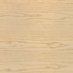 Long Light Brown Pine Wood Veneer with Polished Surface Surface Detail