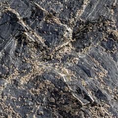 Natural Dry Grey Rock Pool Surface Surface Detail