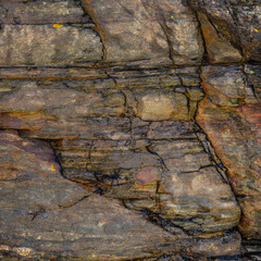 Sedimentary Rock Surface Detail with Yellow Lichen