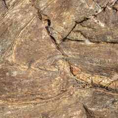 Brown Folded Metamorphic Rock Surface Detail