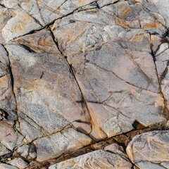 Cracked Grey Rock Face Surface Detail