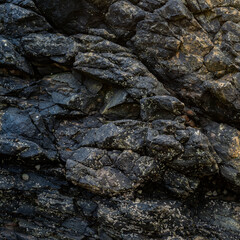 Cool Dark Basalt Rock Surface Detail
