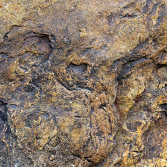 Grey Igneous Rock Surface Detail