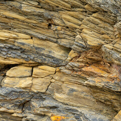 Pale Yellow and Grey Sedimentary Rock Surface Detail