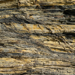 Beige and Grey Sedimentary Rock Surface Detail © UltraHighResolution