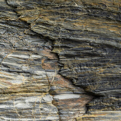 Beige and Grey Mudstone Surface Detail