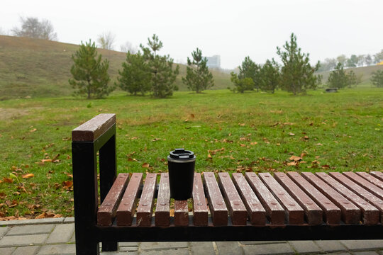 Coffee cup resting on wooden bench in quiet park during foggy morning with gentle slopes and trees in the background