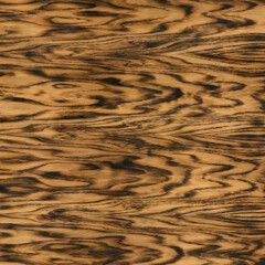 Charred Oak Wood with Burnt Grain Surface Detail